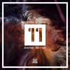 Incorrect Segment archive artwork